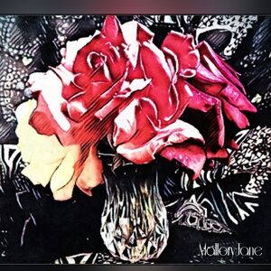 "The Weight of Beauty", Original Art Signed By MalloryJane, 20"x24" Framed Print